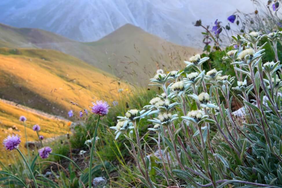 Aventures alpines