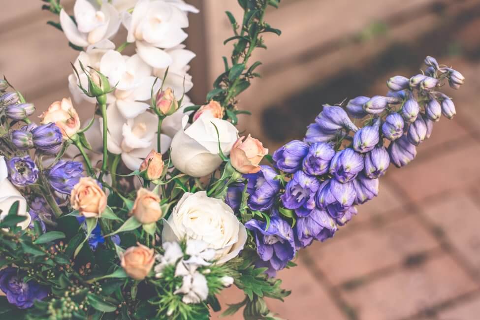 Occasions de cadeaux appropriées pour les décimètres d'alouette