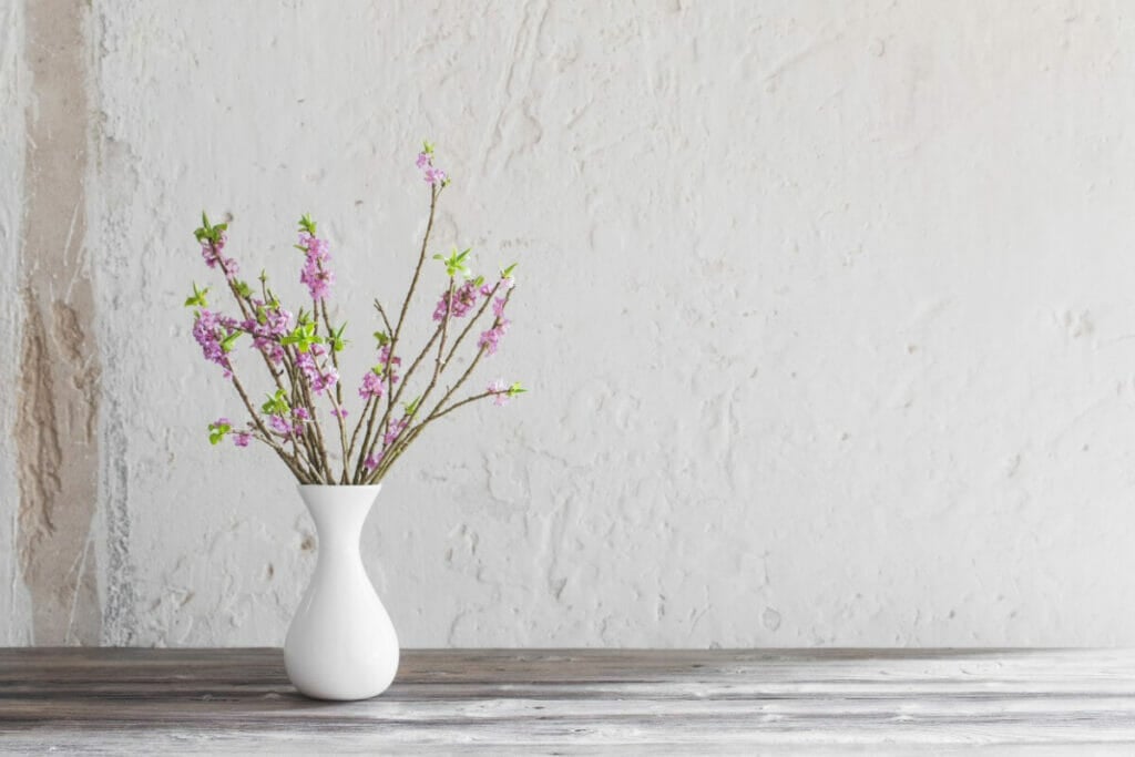 Occasions de cadeaux appropriées pour Daphne Flowers
