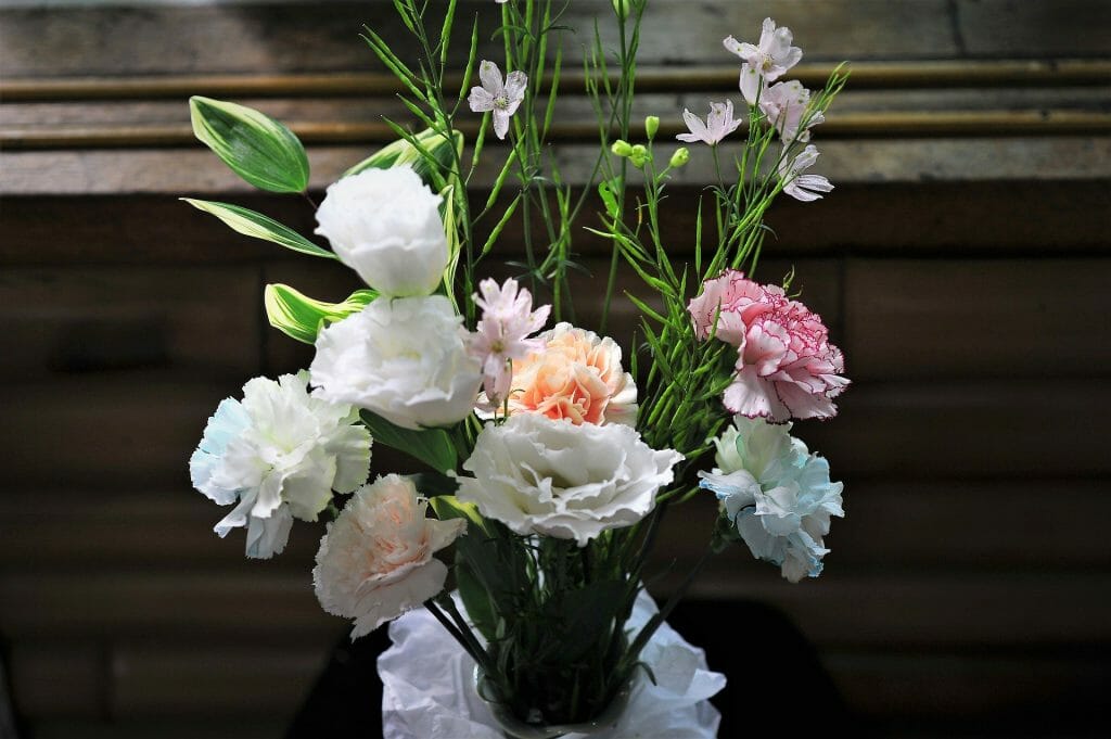 Livraison de fleurs d'œillets pour la fête des mères