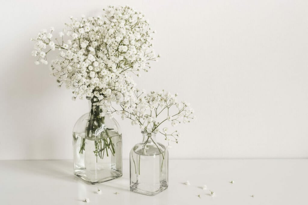 Occasions de cadeaux appropriées pour les fleurs de souffle de bébé