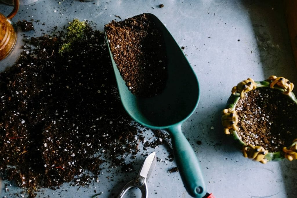 Le meilleur mélange de terre pour les plantes d'intérieur