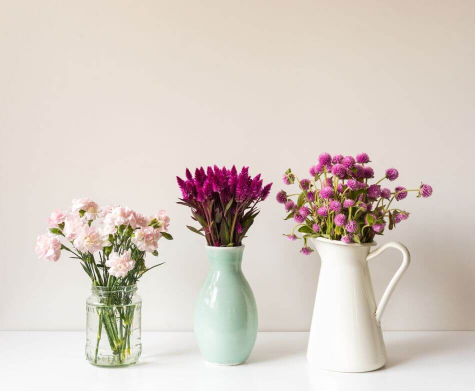 Occasions de cadeaux appropriées pour les fleurs d'amarante
