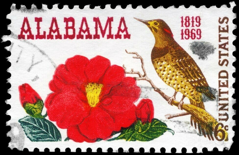 Les fleurs de camélia sont la fleur officielle de l'Alabama.