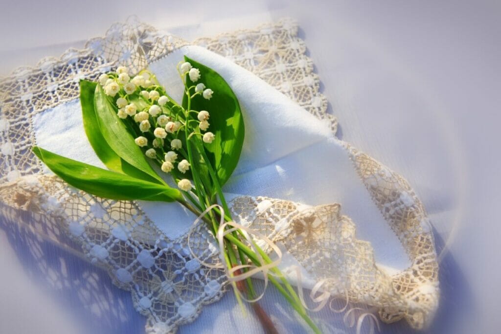 Occasions de cadeaux appropriées pour les fleurs de muguet