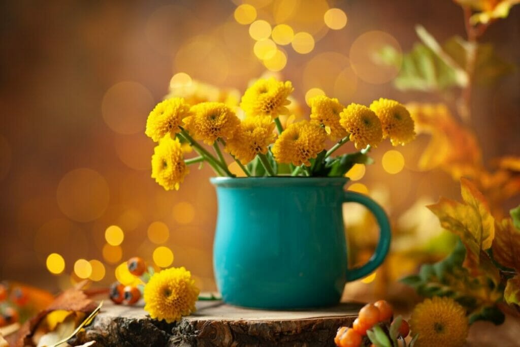 Les fleurs jaunes dans les années 1700 et à l'époque victorienne 