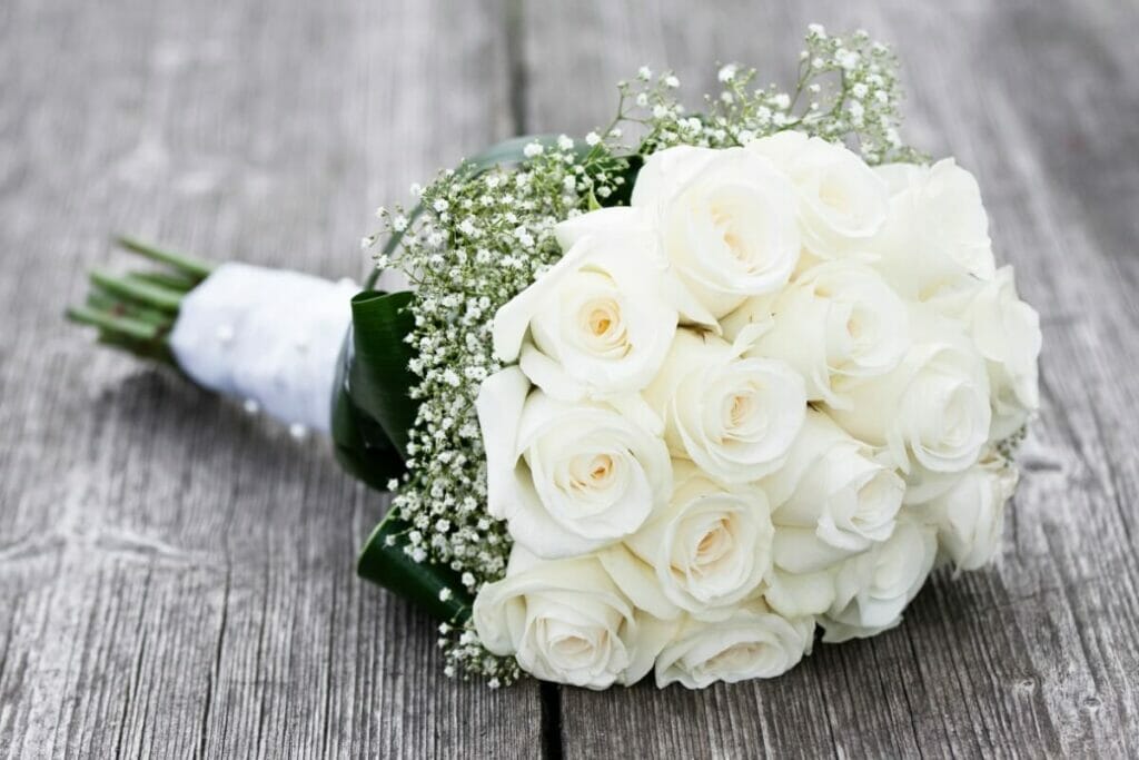 Roses blanches et mariages