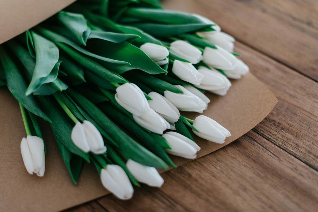 Signification de la fleur de tulipe blanche