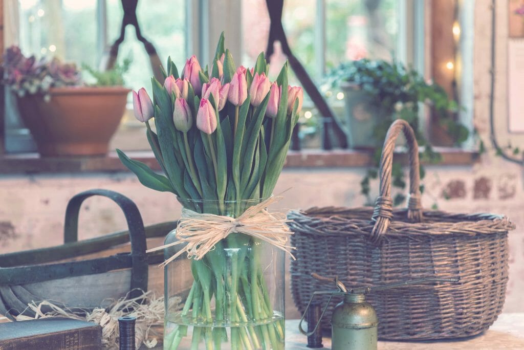 Signification de la fleur de tulipe rose