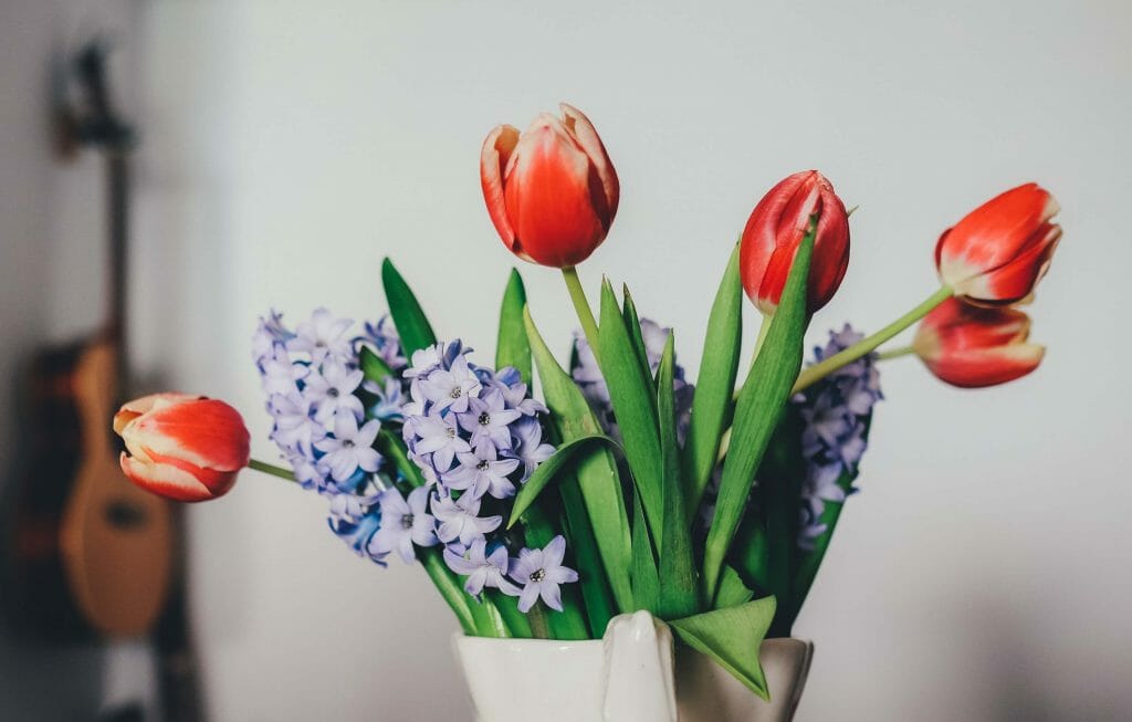 Comment arranger les tulipes