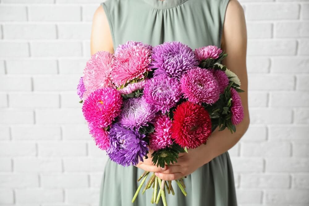 Occasions de cadeaux appropriées pour les fleurs d'aster