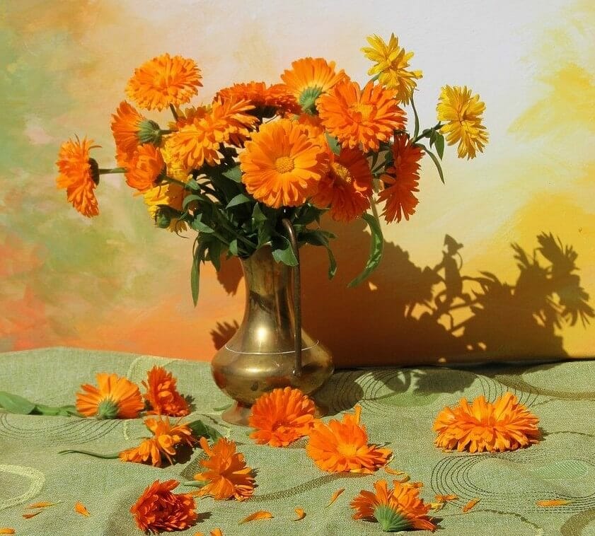 Les meilleures occasions d'offrir des fleurs de souci