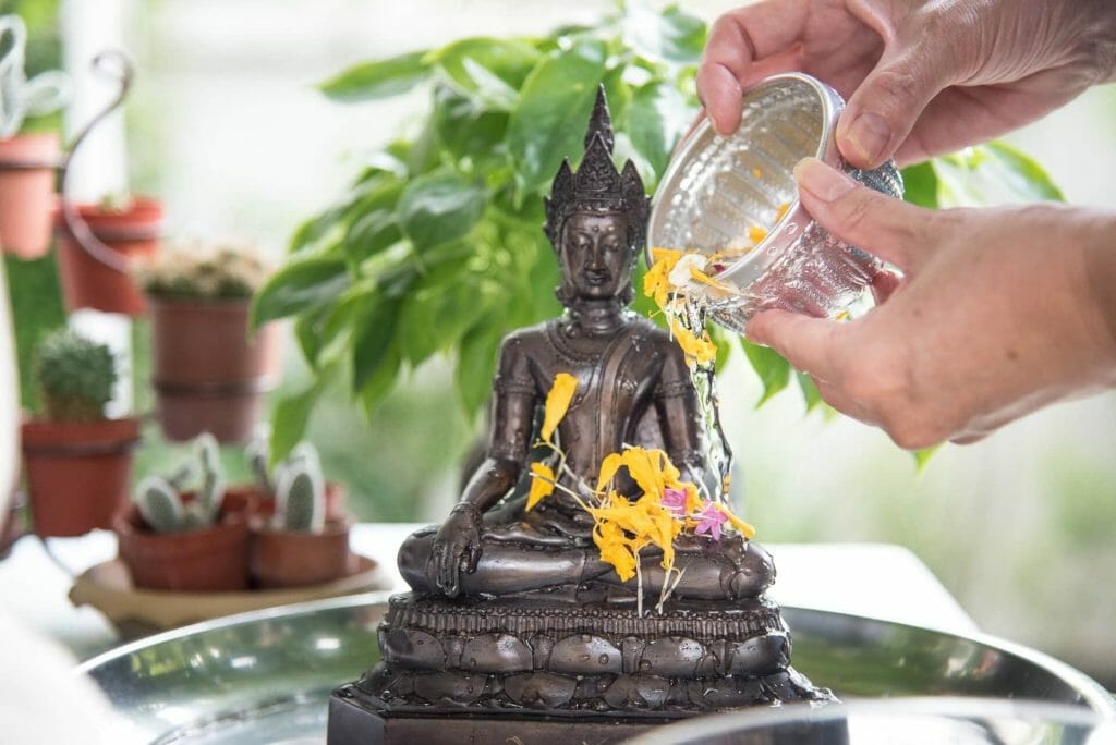 Signification, symbolisme et importance culturelle du souci dans le monde entier