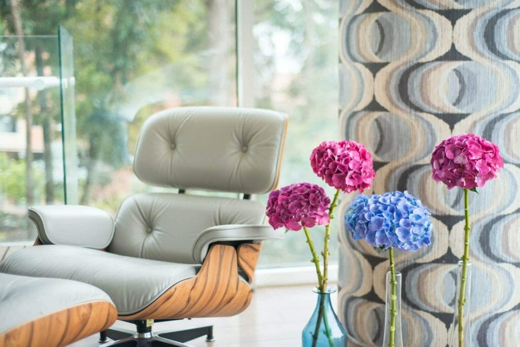 Comment prendre soin des fleurs d'hortensia coupées à la maison