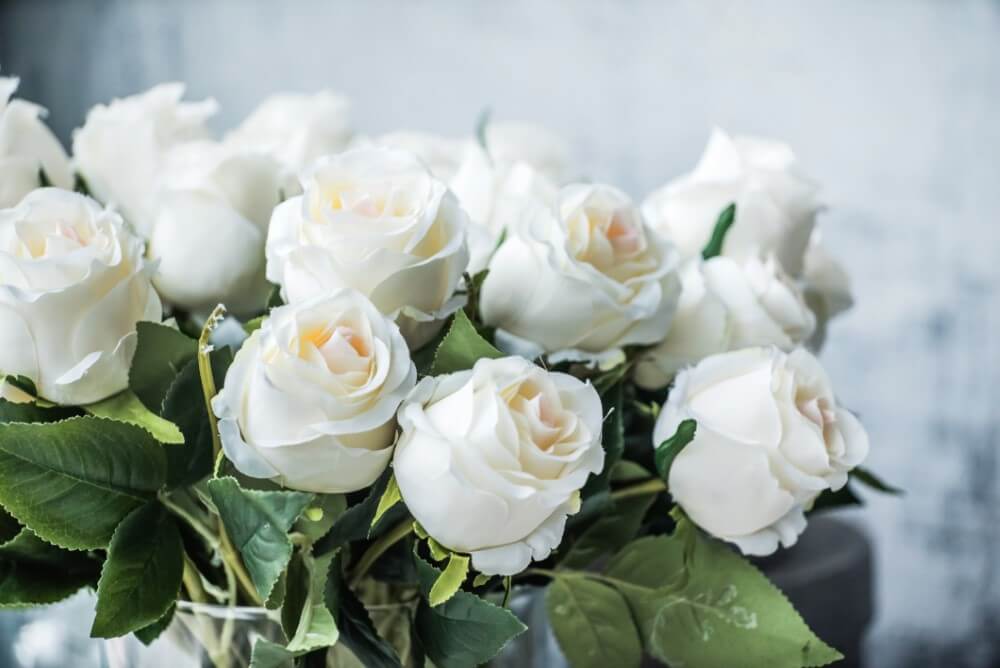 White Roses