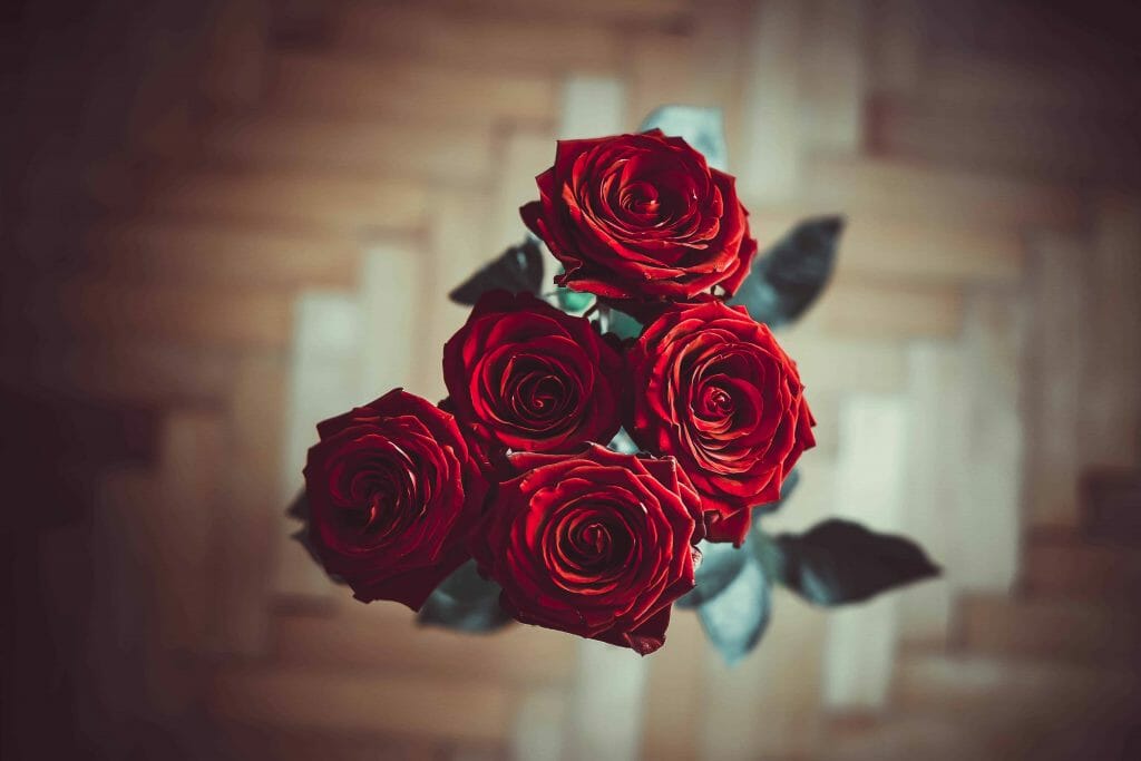 Fleur de naissance de juin Roses