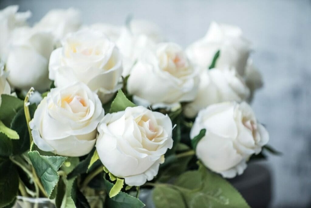 Les occasions les plus propices aux cadeaux et l'utilisation des fleurs blanches