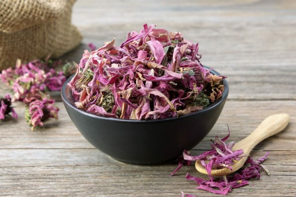 Comment récolter les tournesols