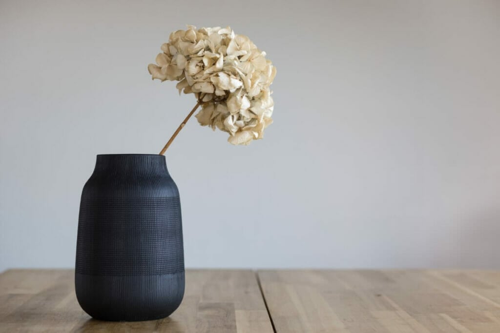 Comment faire sécher les hortensias
