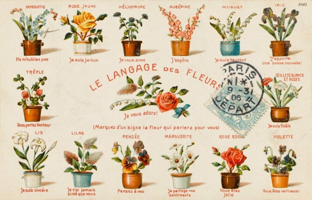 Les tournesols étaient profondément symboliques dans le langage des fleurs de l'époque victorienne.