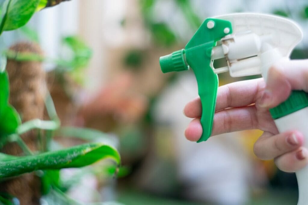 Options et solutions en matière de pesticides et d'insecticides