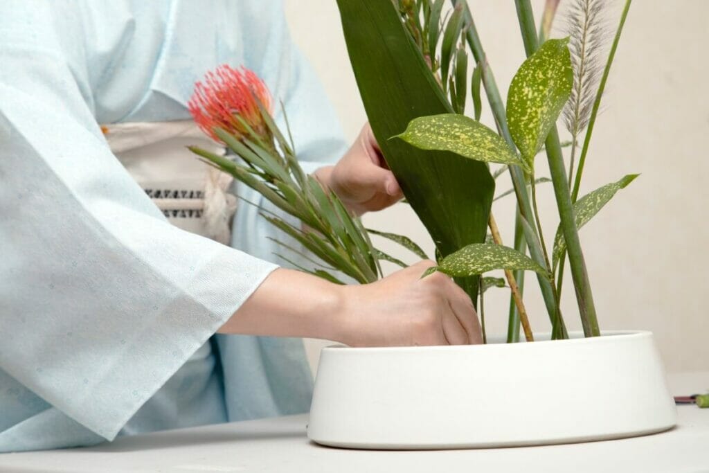 Comment réaliser un arrangement d'Ikebana de base ?