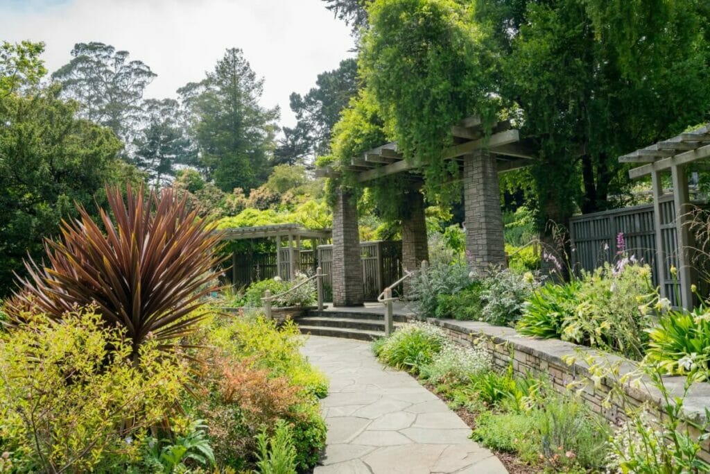Californie - Jardin botanique de San Francisco
