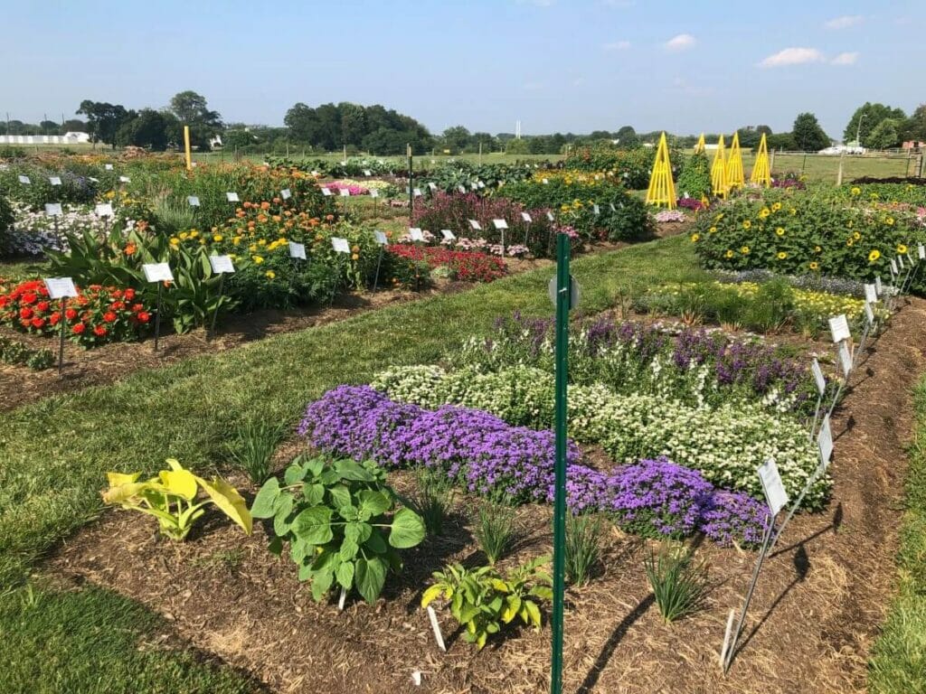 Delaware - Jardins botaniques de l'Université du Delaware