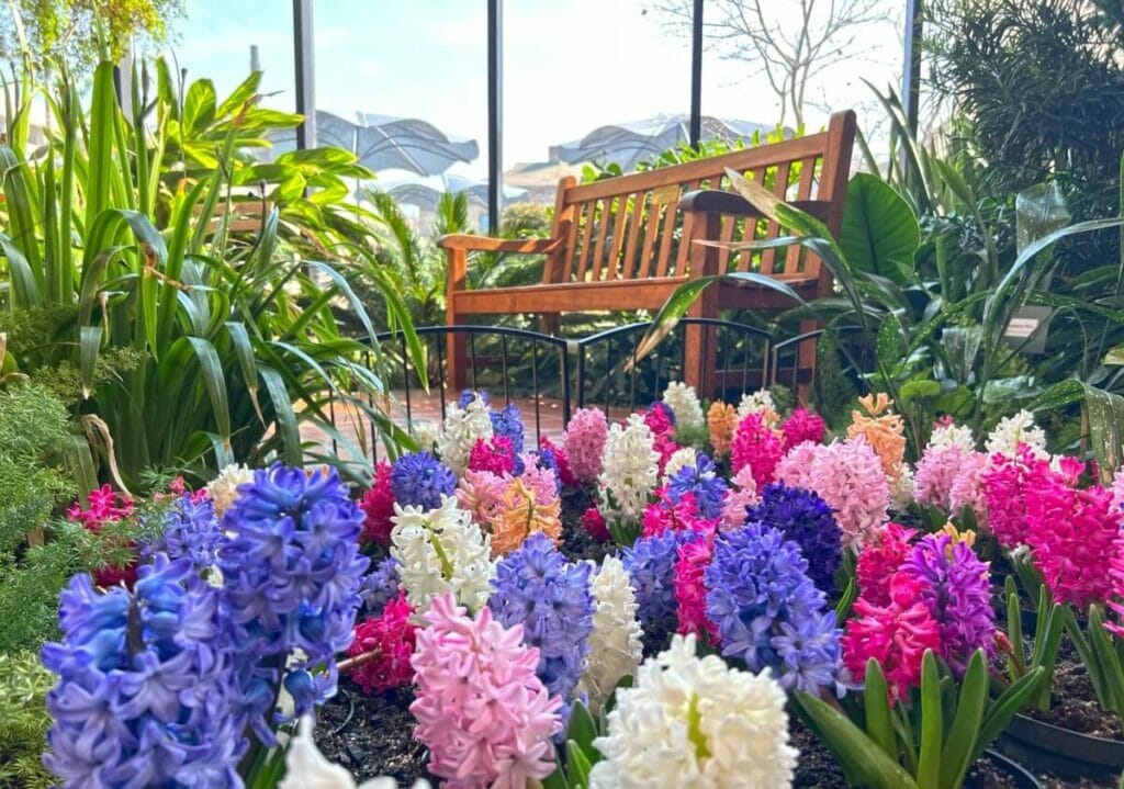 Indiana - Conservatoire botanique Foellinger-Freimann