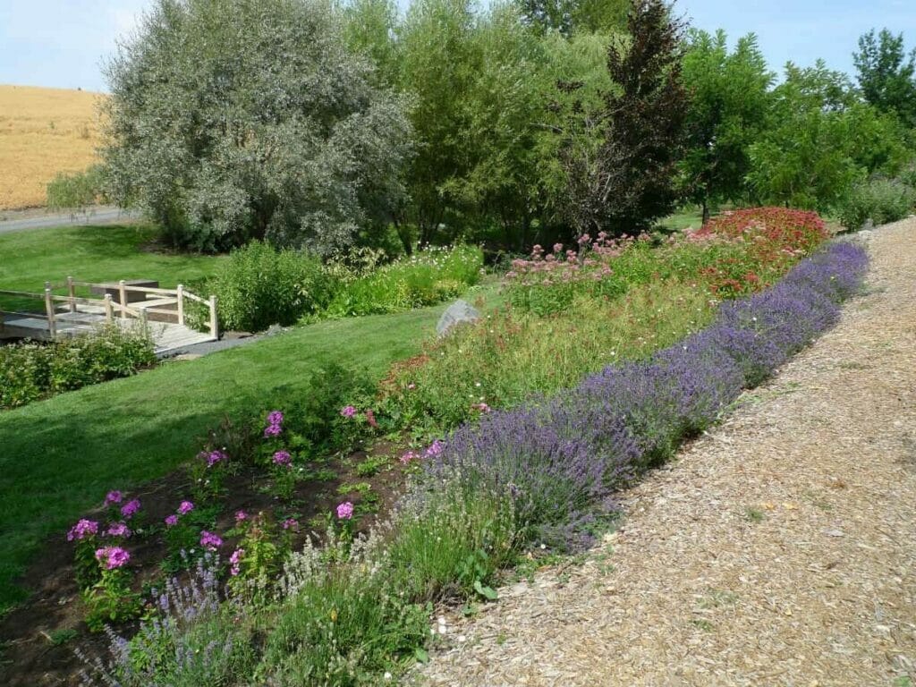 Idaho - Arboretum et jardin botanique de l'Université de l'Idaho