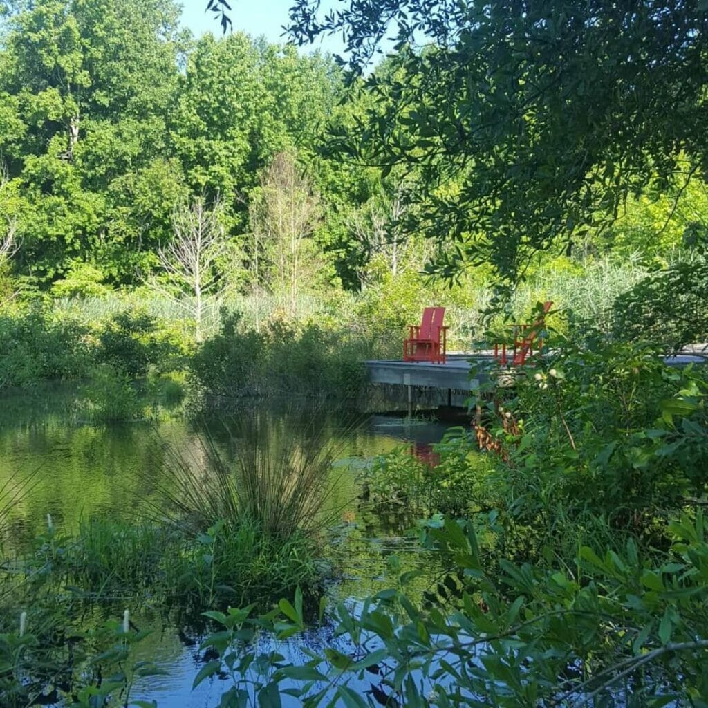 Maryland - Arboretum Adkins