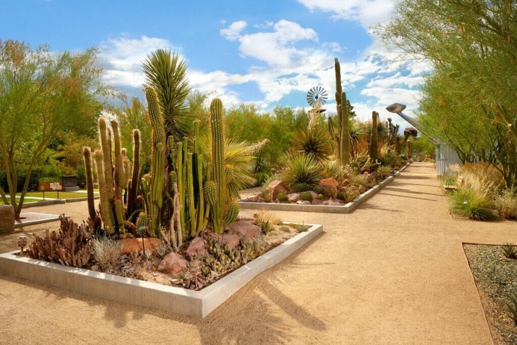 Nevada - Le jardin botanique de la réserve de la source de Las Vegas