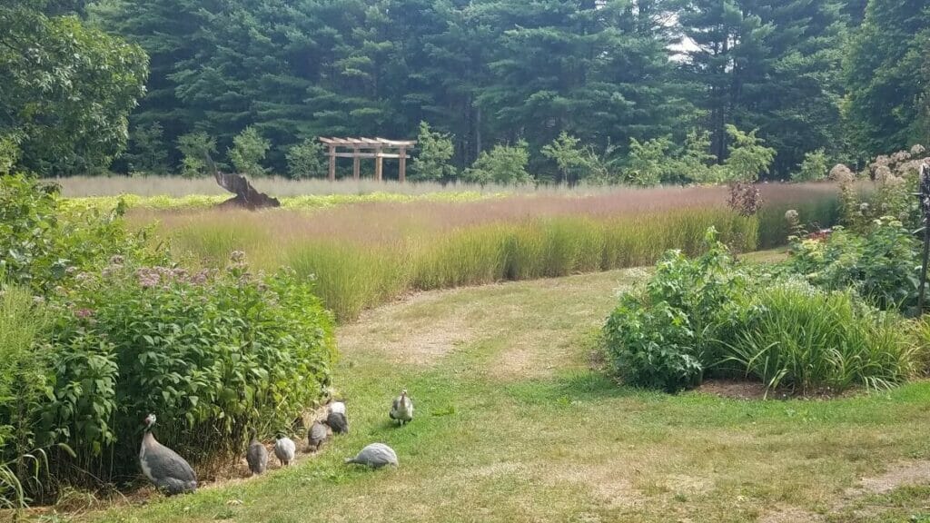 Nebraska - Jardins de Lauritzen