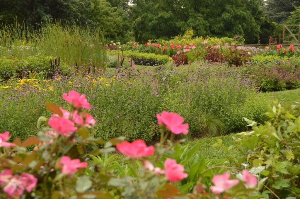 New Jersey - Rutgers Gardens