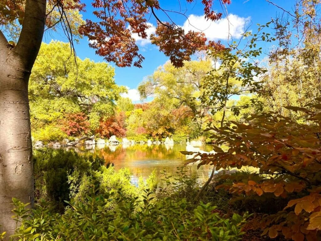 Nouveau Mexique - ABQ BioPark Botanic Garden