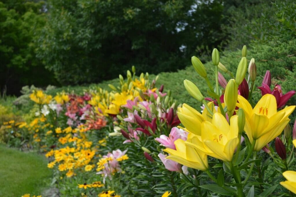 Dakota du Sud - Jardins McCrory & Arboretum du Dakota du Sud