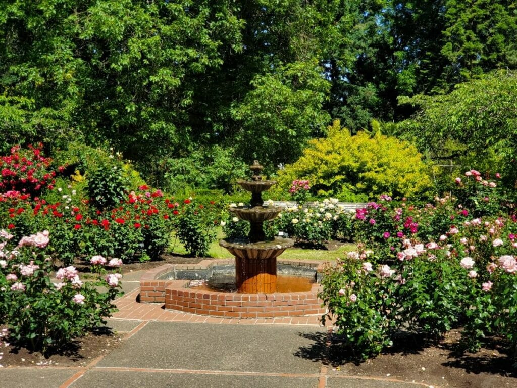 Oregon - Jardin d'essai international de roses