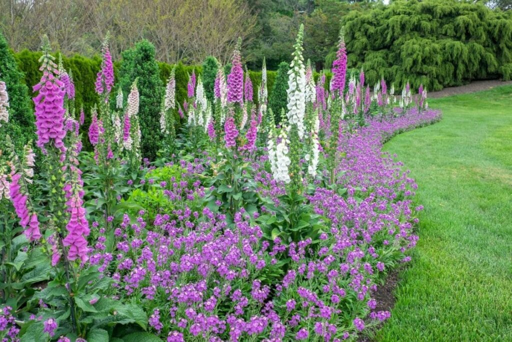 Pennsylvanie - Jardins de Longwood