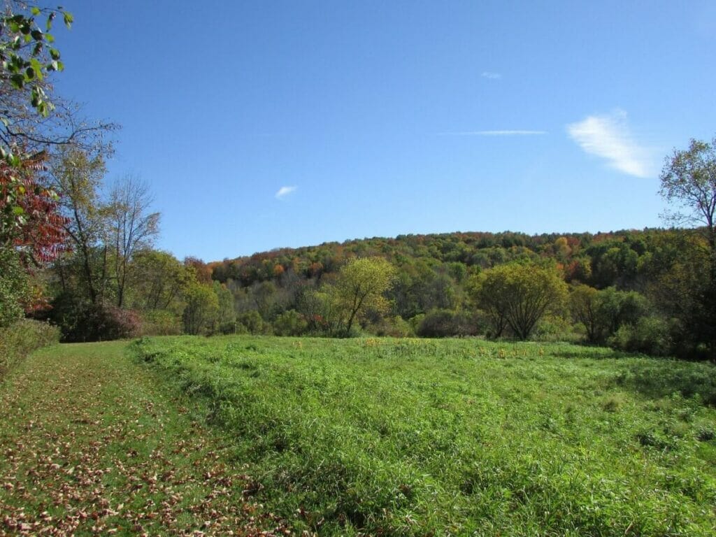 Vermont - Centre de conservation d'un seul monde