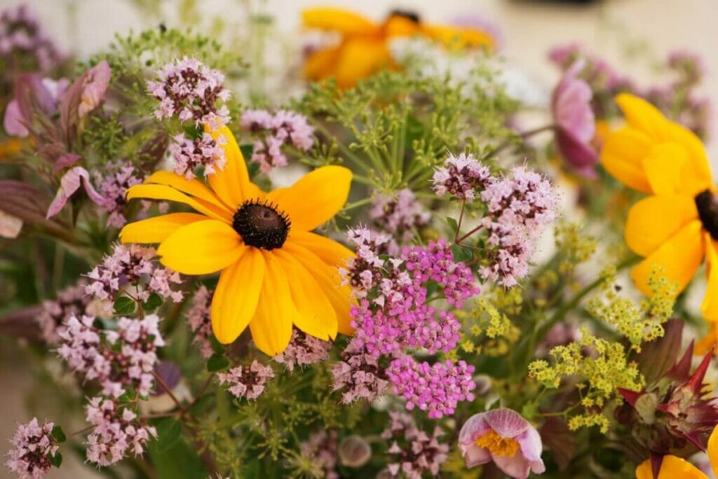 De quelles conditions les fleurs sauvages ont-elles besoin ?