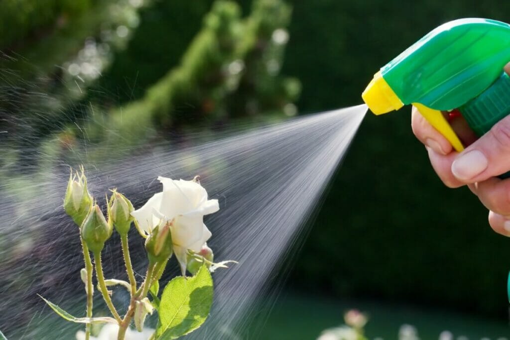 Options et solutions en matière de pesticides et d'insecticides
