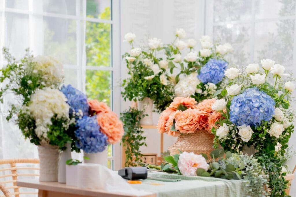 Arrosage des hortensias d'intérieur