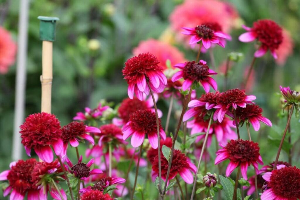 Changements saisonniers à prendre en compte