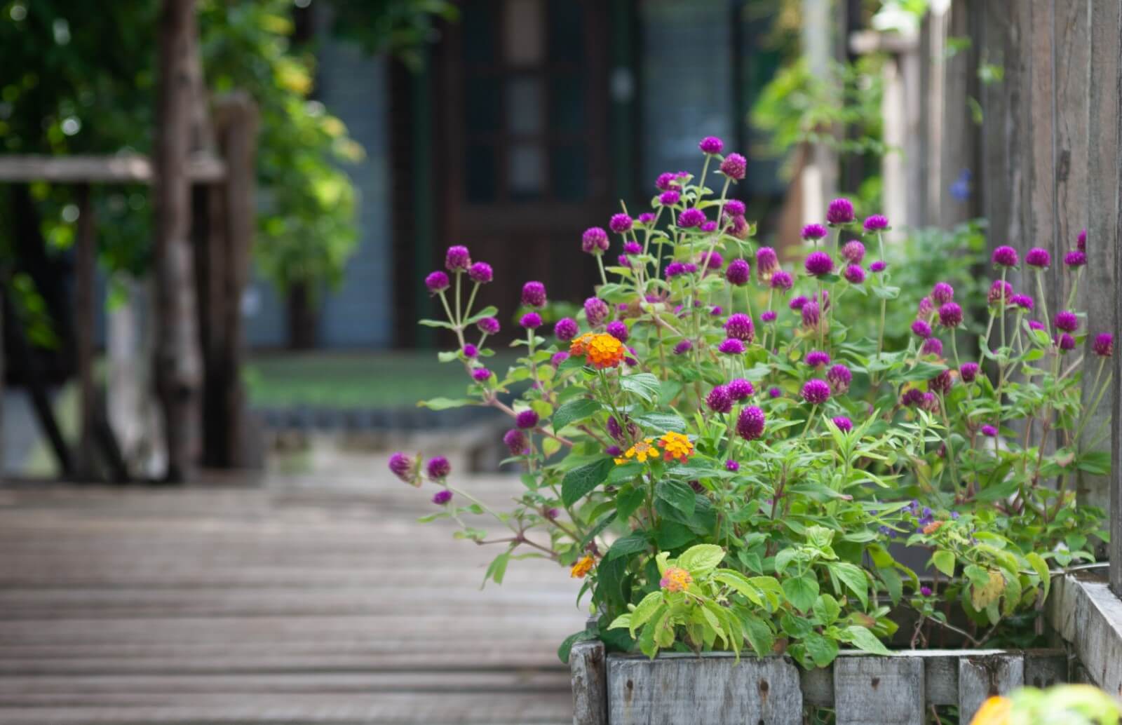 content jardinier femme les plantes fleurs sur le fleur lit dans