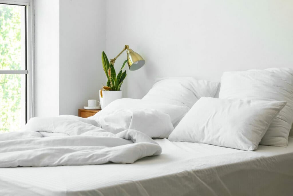 Peut-on garder des plantes serpents dans la chambre à coucher ?