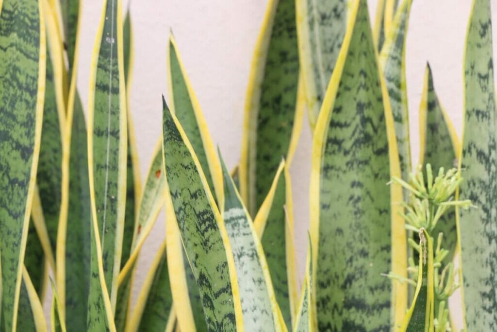 Selon les exigences de soins