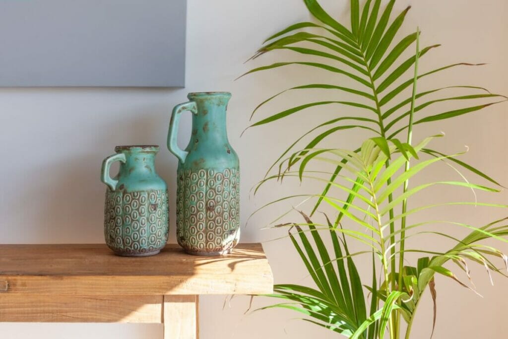  La meilleure exposition à la lumière pour le palmier Majesty cultivé en intérieur