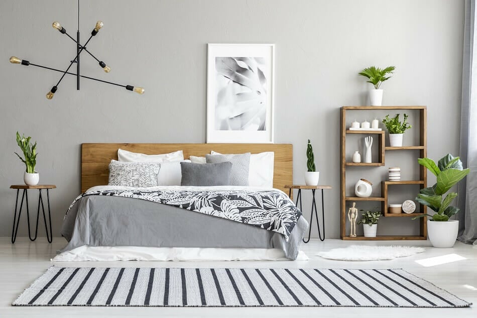 Quels sont les principaux problèmes liés aux plantes et à la chambre à coucher ?