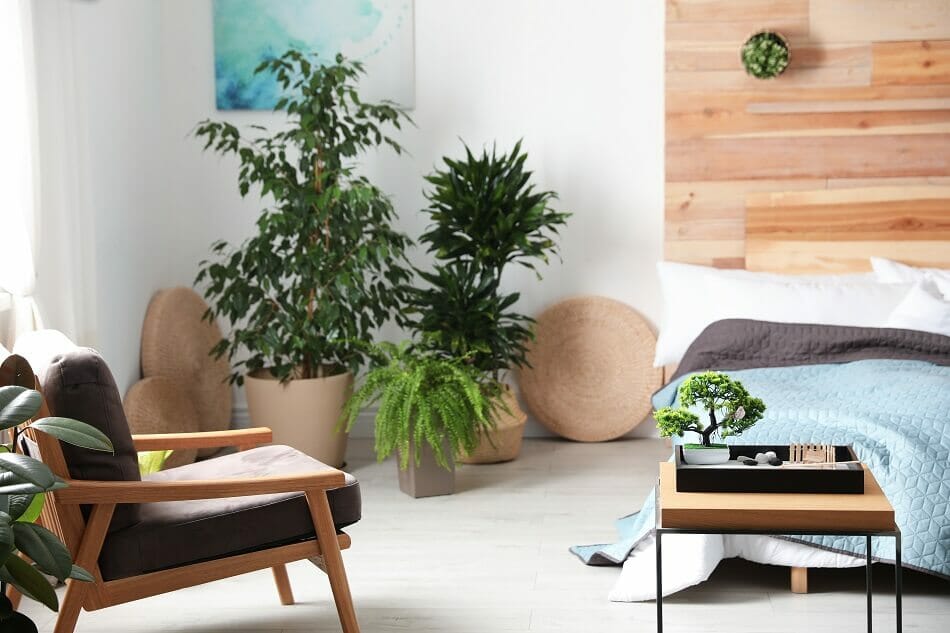 Ce que la science dit des plantes dans la chambre à coucher