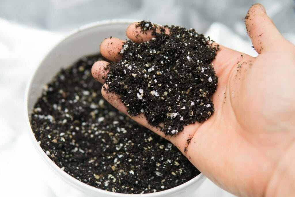 Pourquoi le choix du sol est important